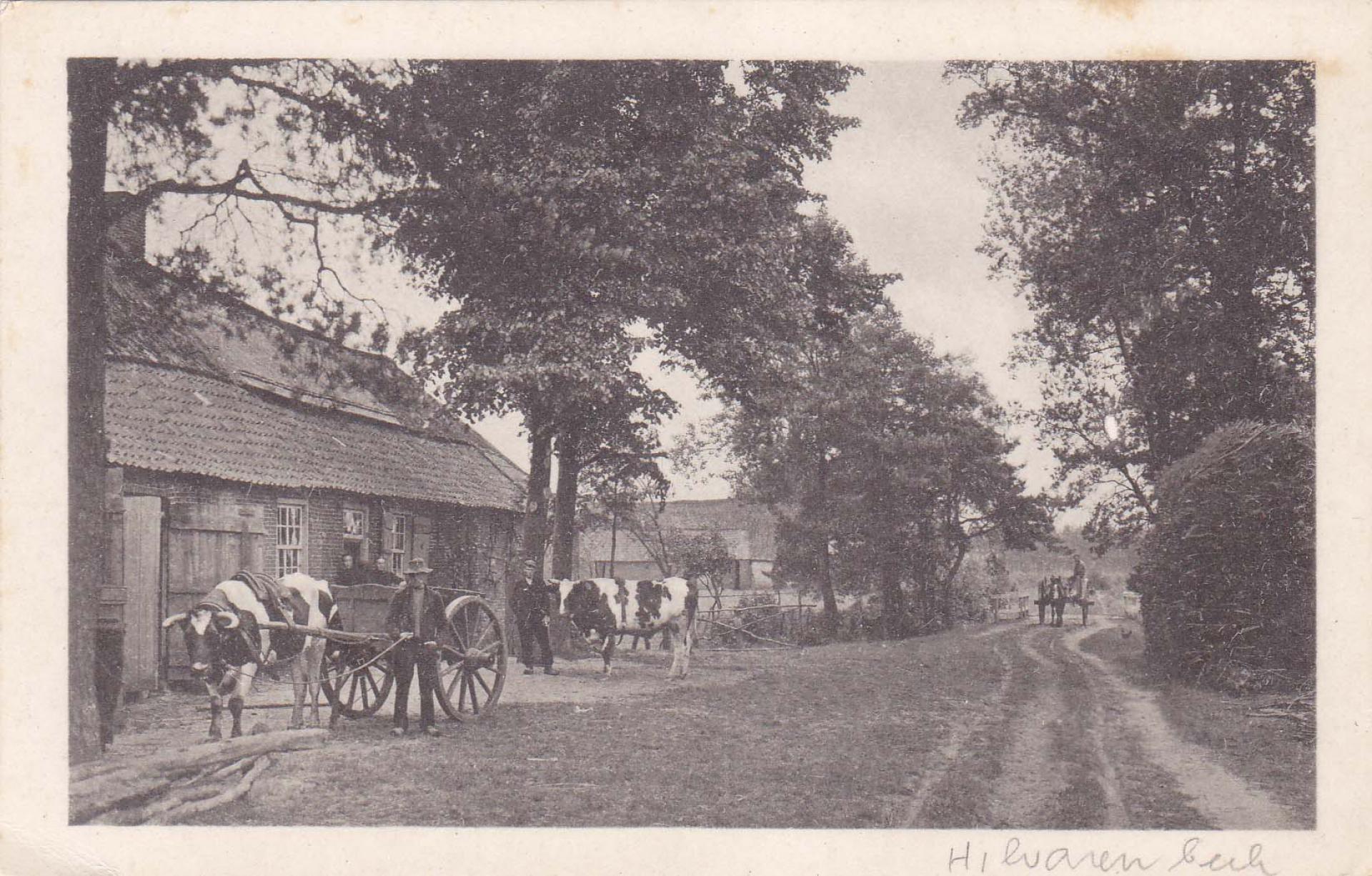 Ontginningen Hilvarenbeek