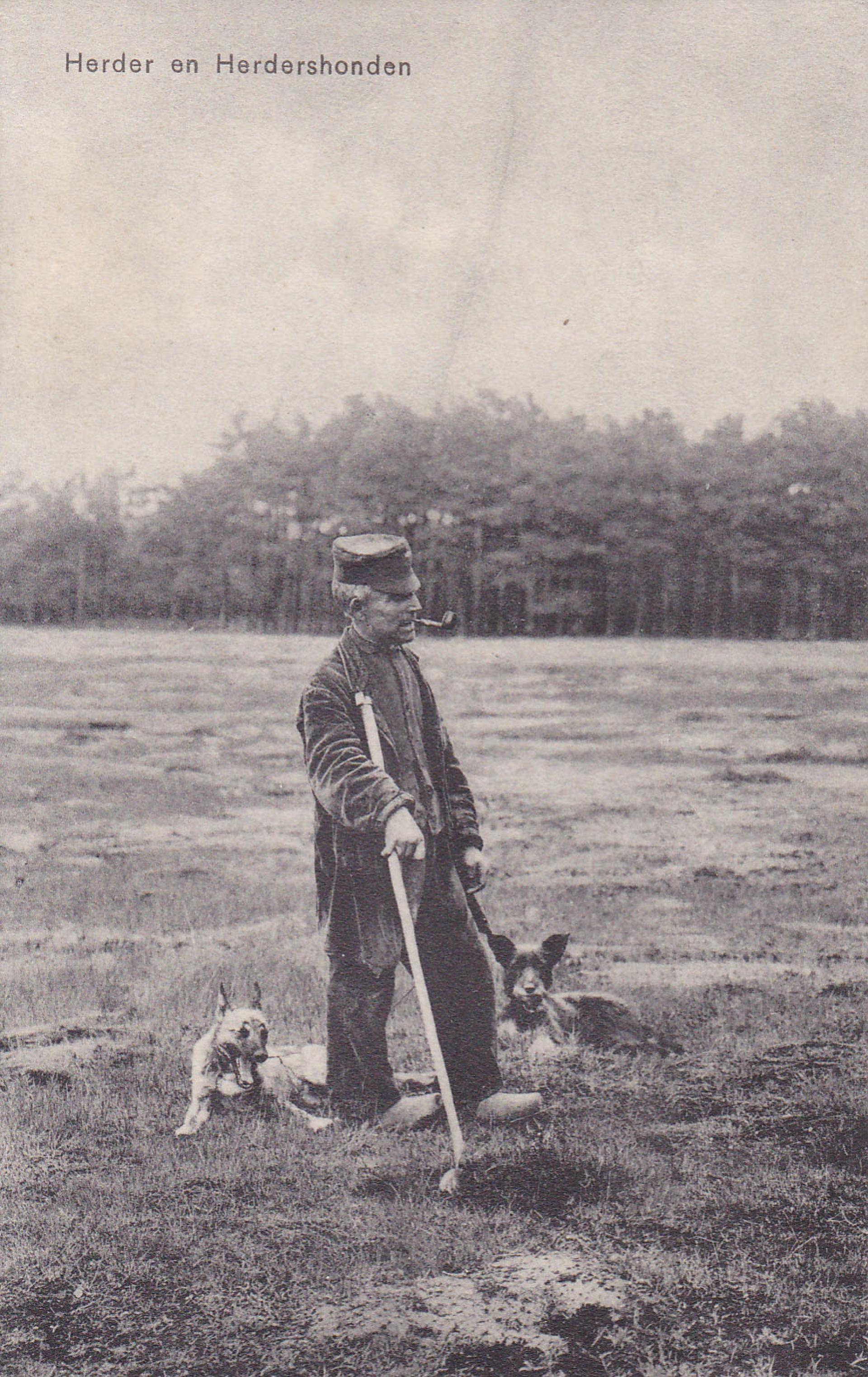 De schaapsherder (dorp1740)