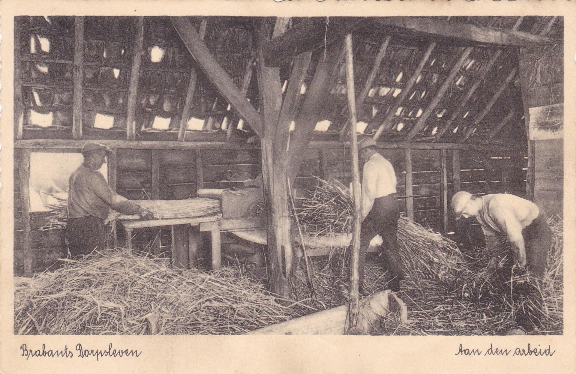 Dorsen met paardenkracht