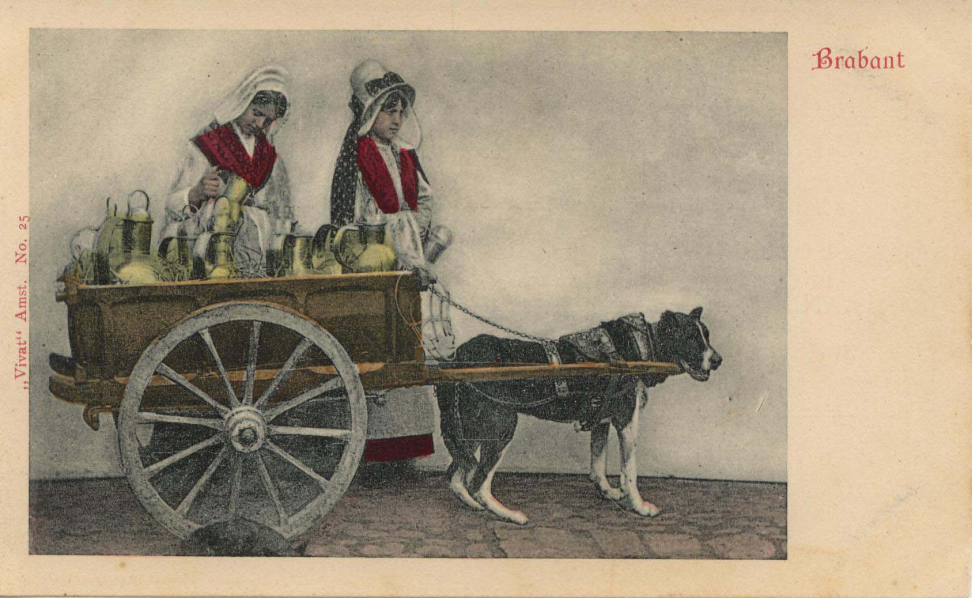 Melkvervoer per hondenkar