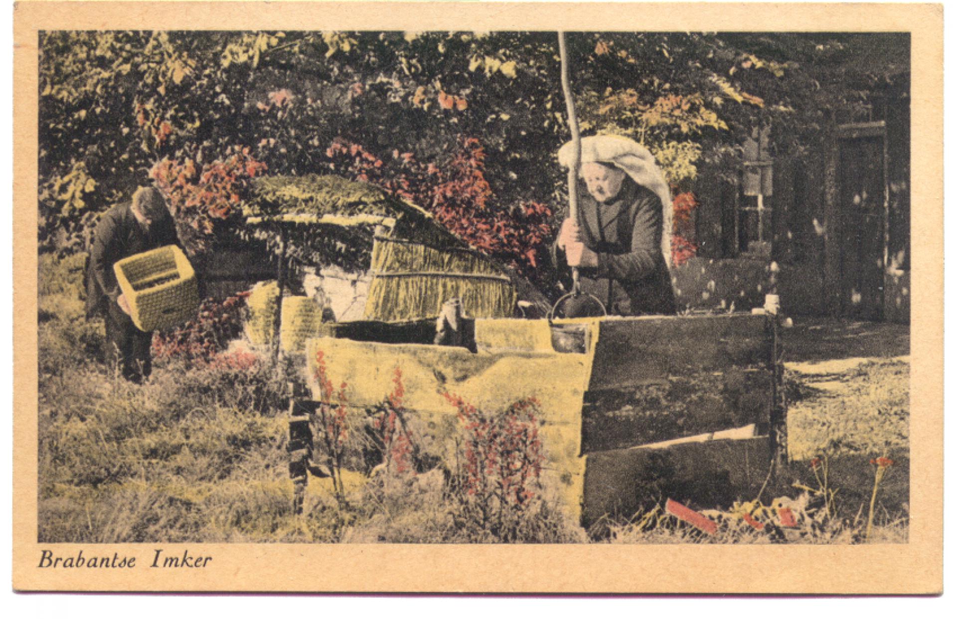 Brabantse imker