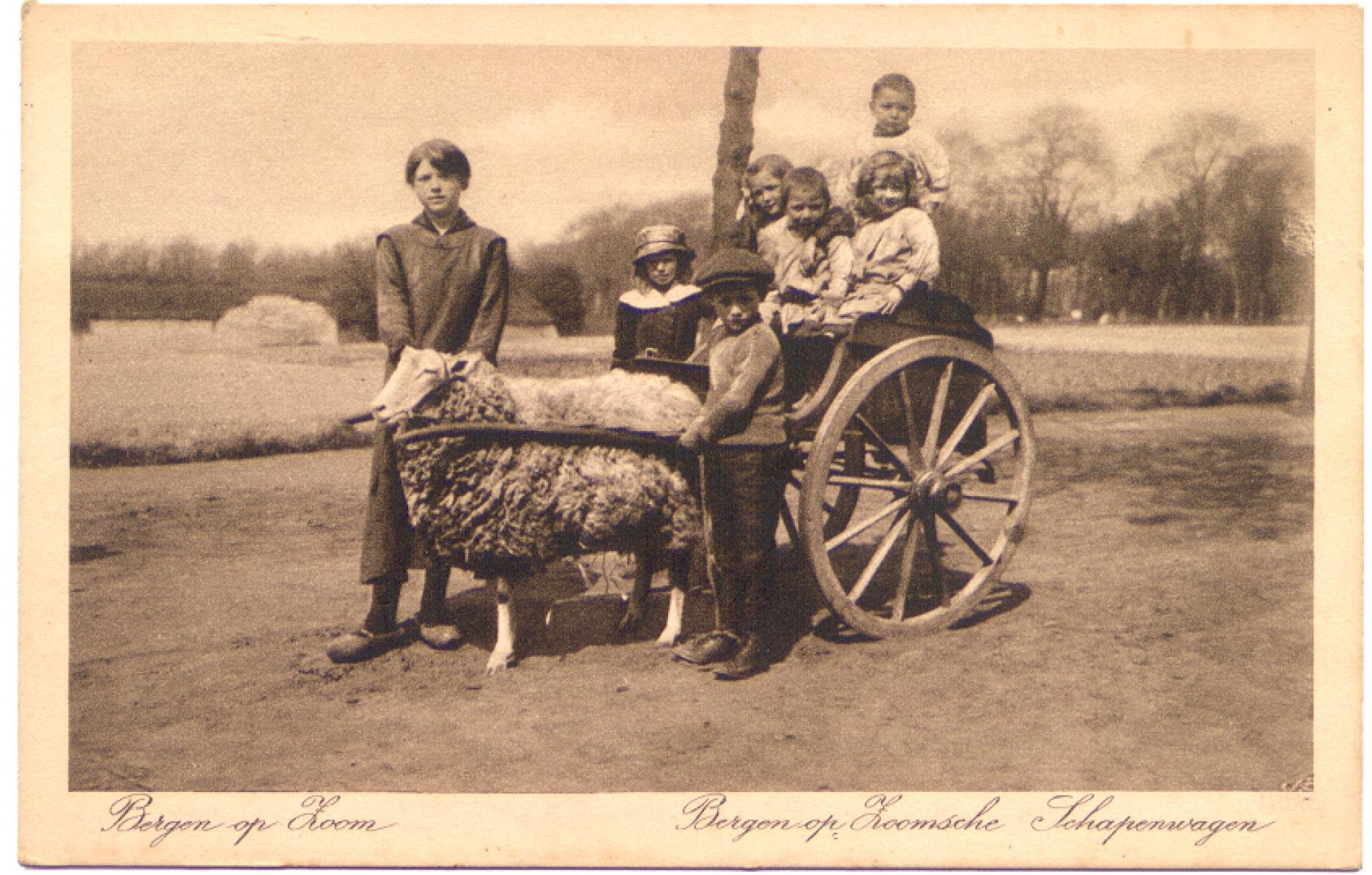 Bergen op Zoomsche Schapenwagen