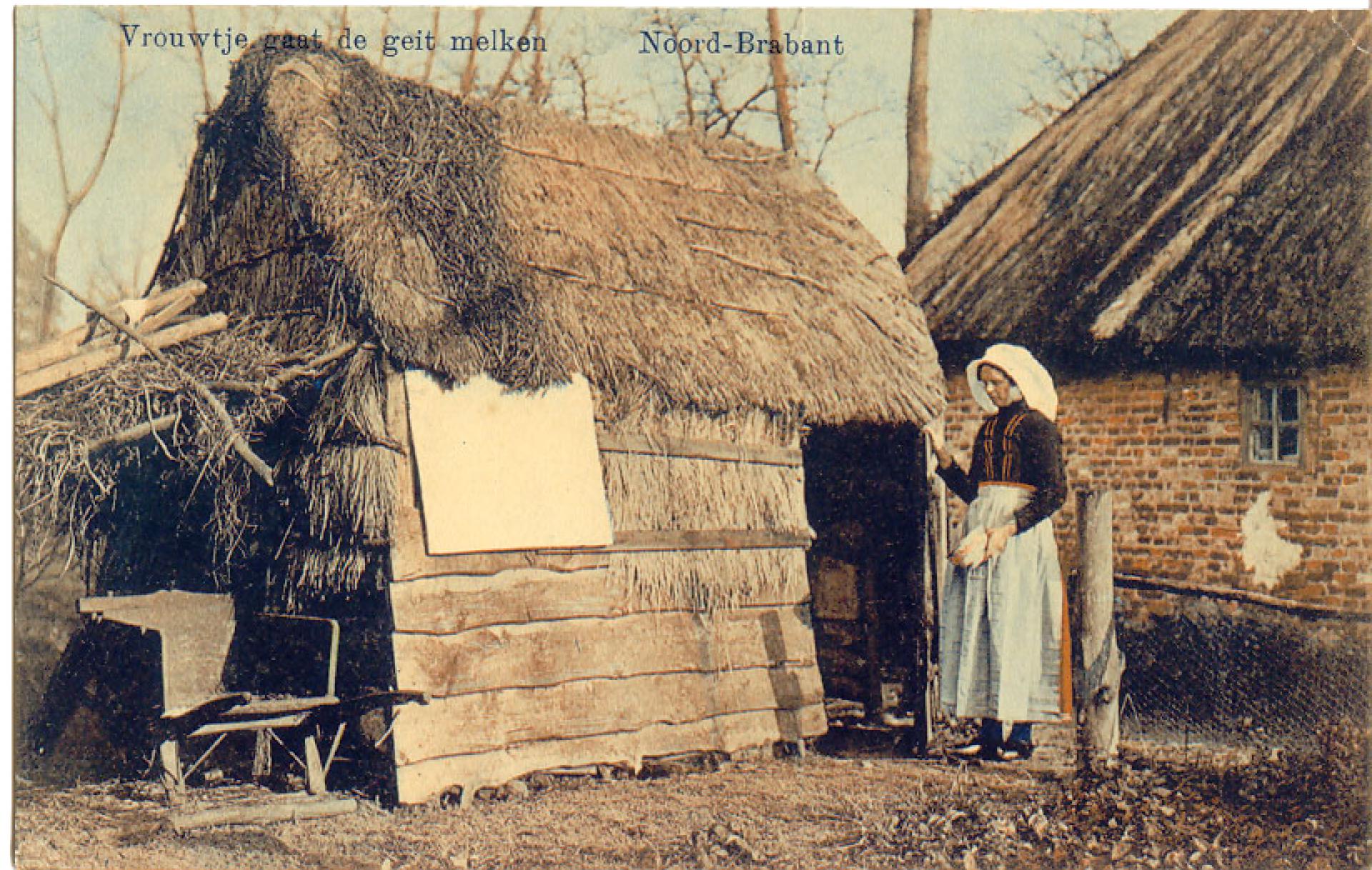 Vrouwtje gaat de geit melken