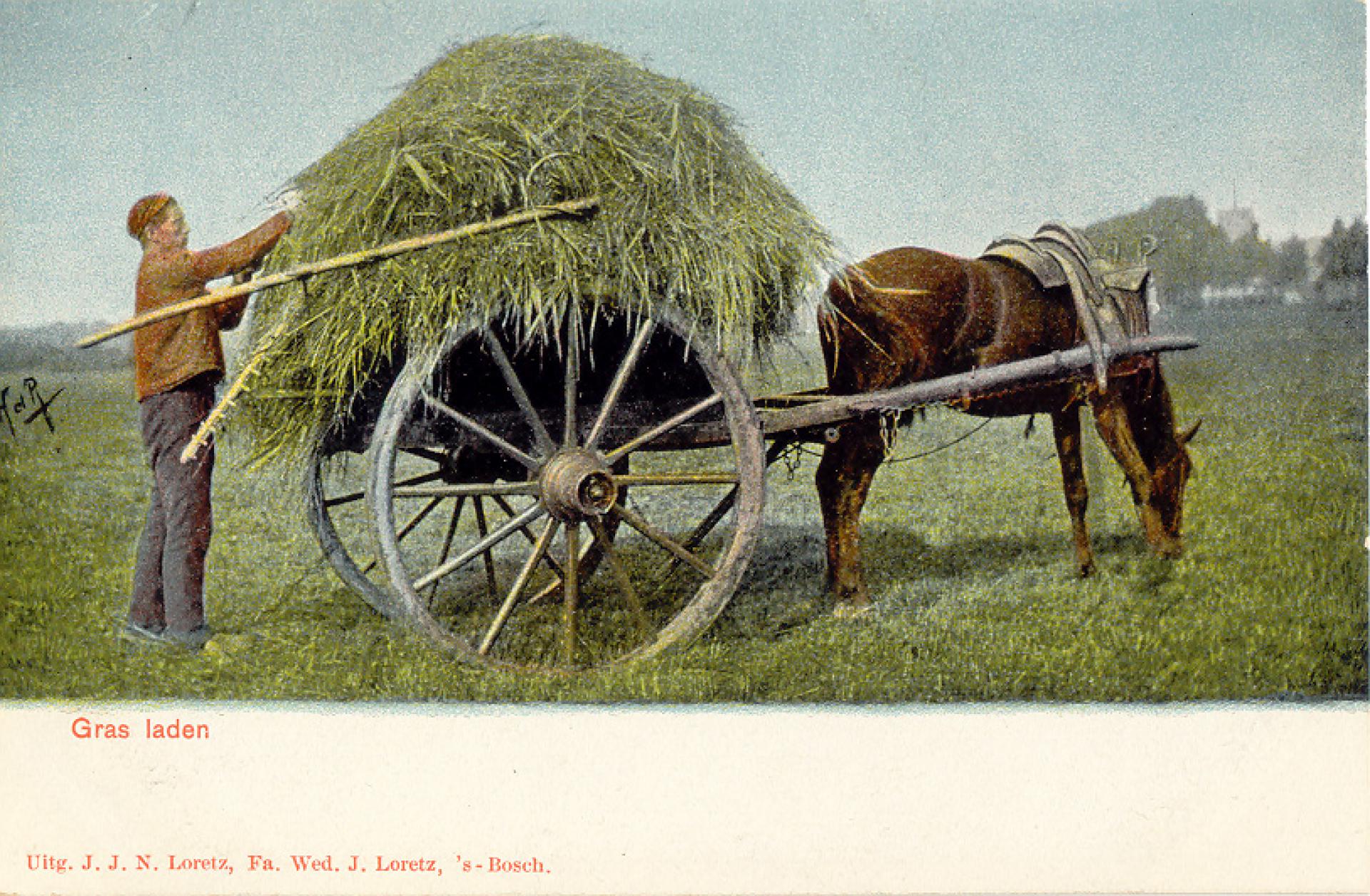 Gras laden