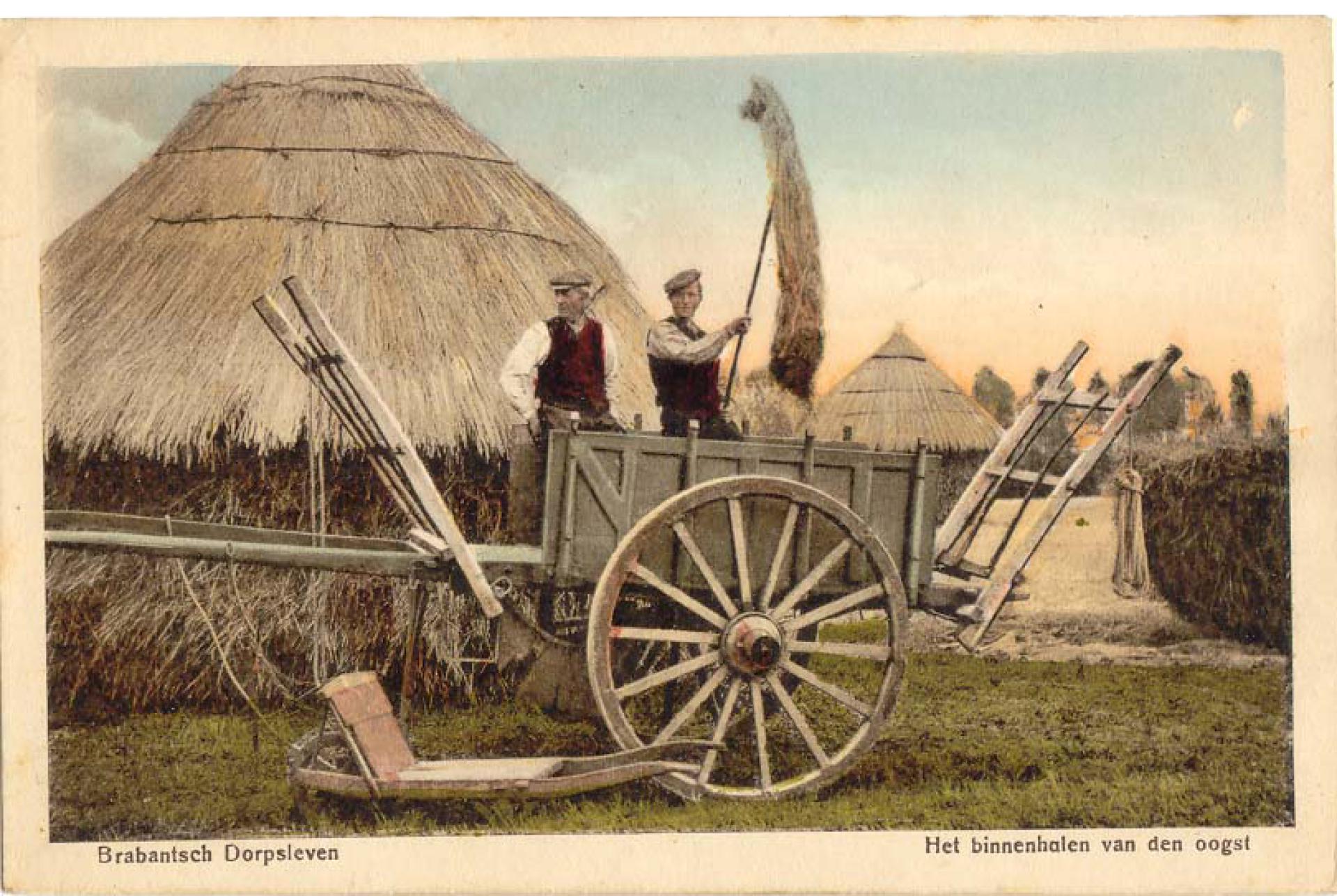 Het binnenhalen van den oogst