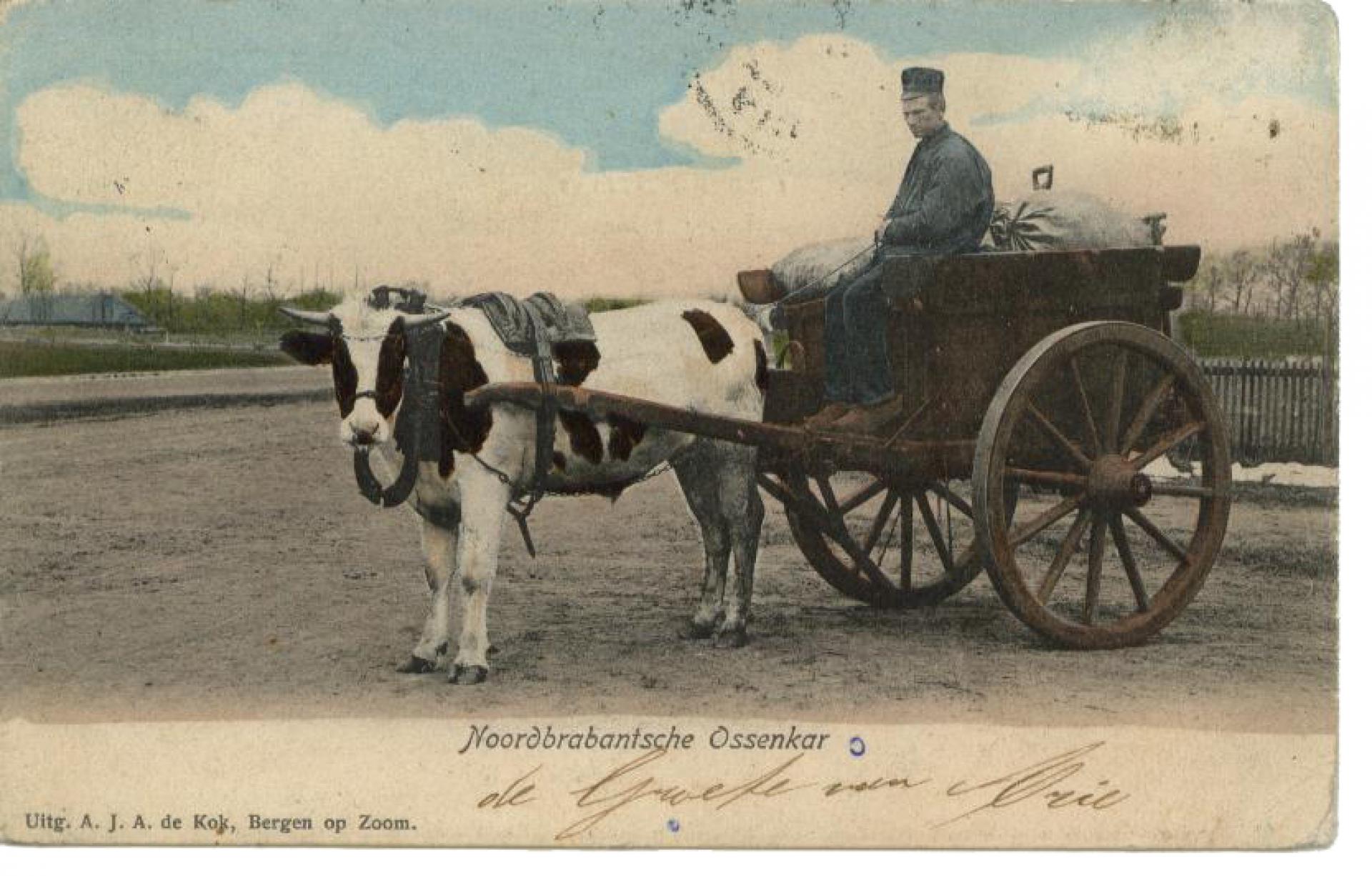 Noordbrabantsche ossenkar