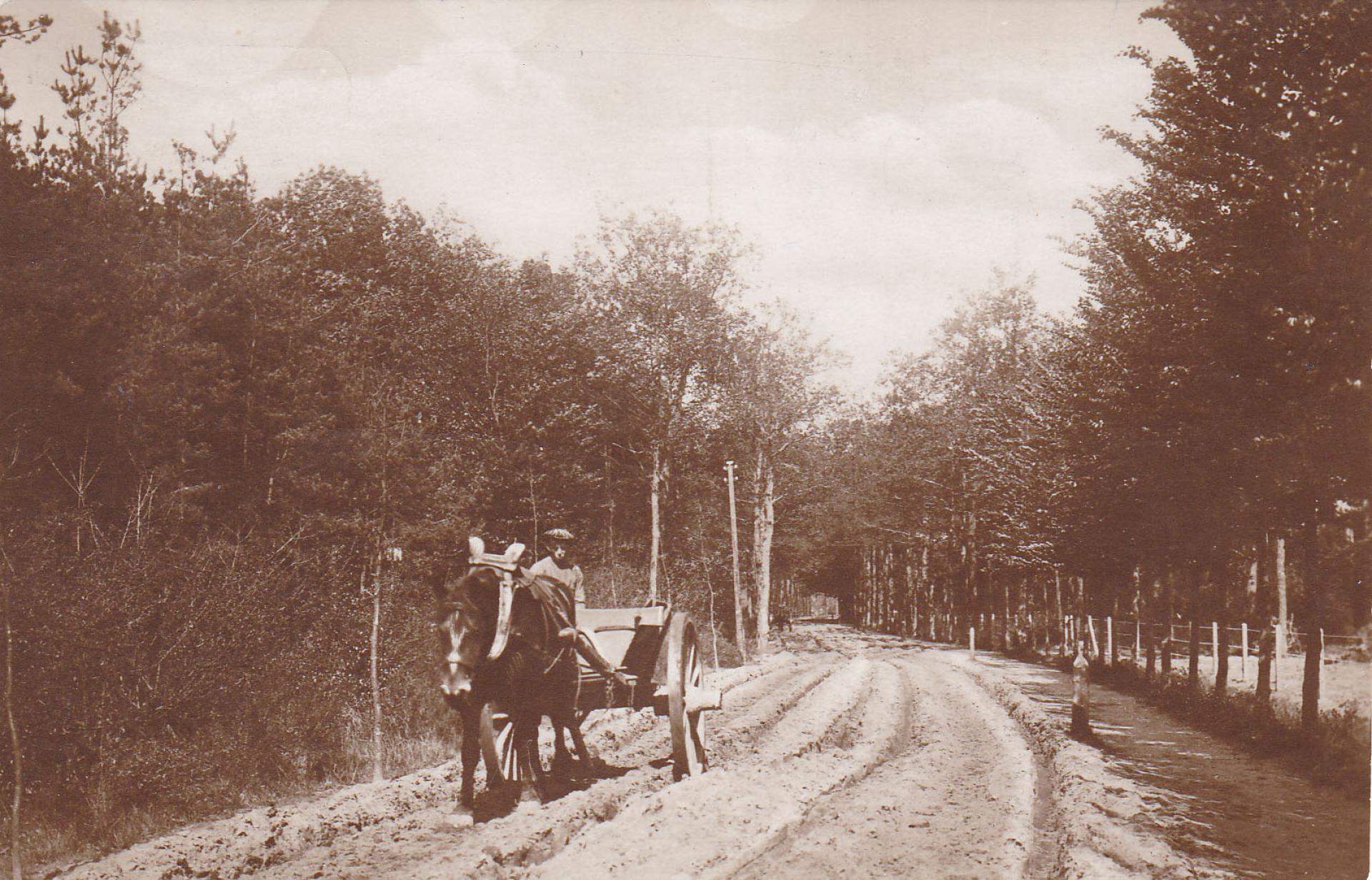 Gemullehoekenweg Oisterwijk