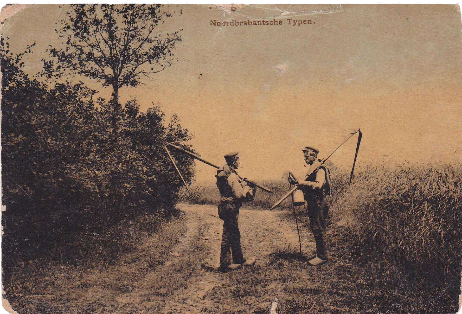 Noordbrabantsche typen