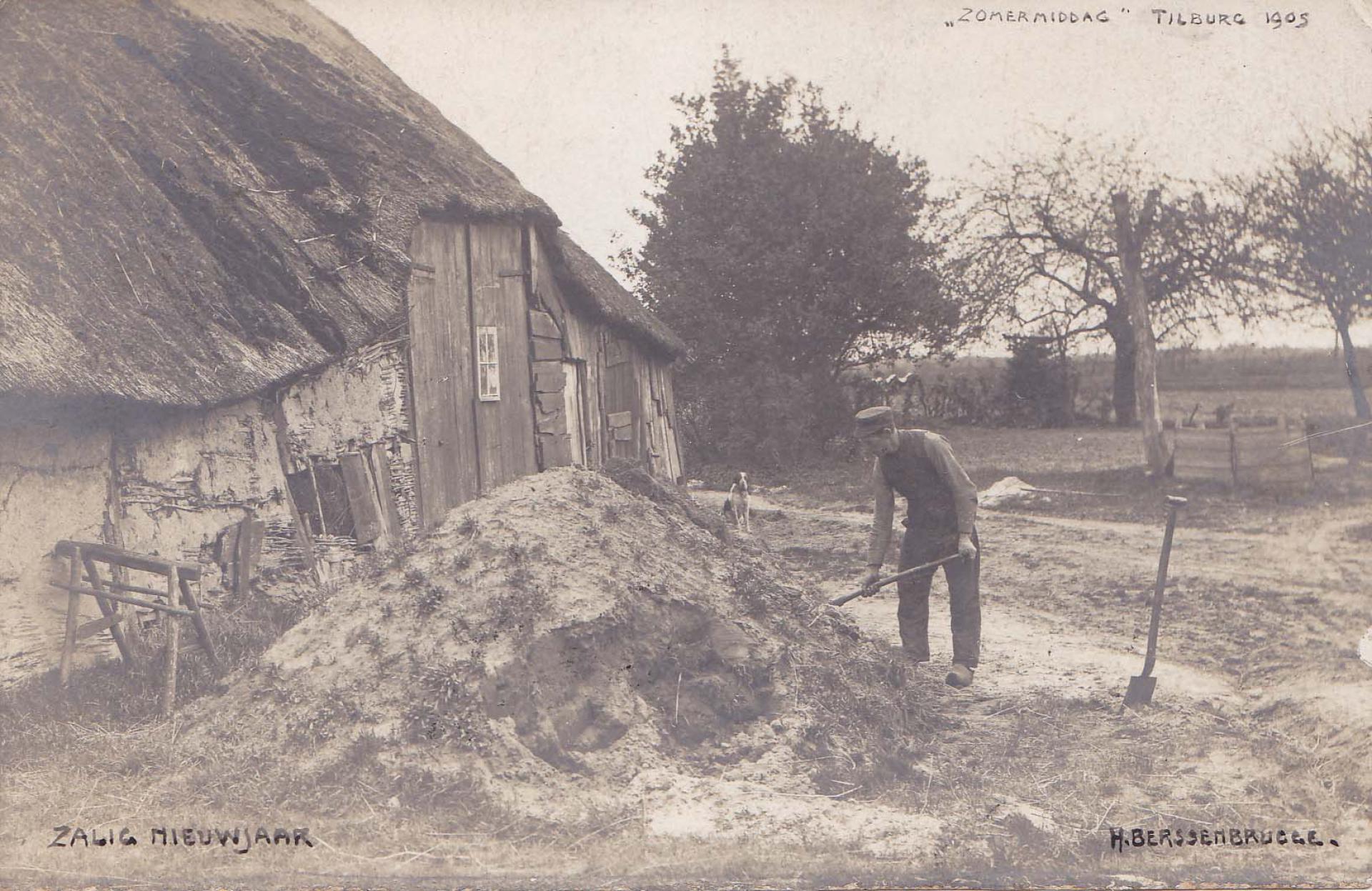 Zomermiddag, Tilburg