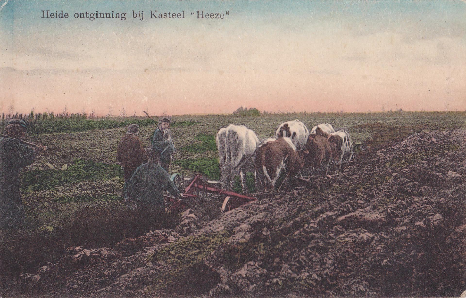 Heide ontginning bij kasteel Heeze