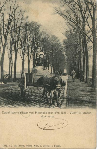 Hanneke met haar ezel