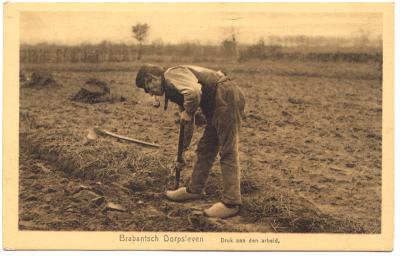 Druk aan den arbeid