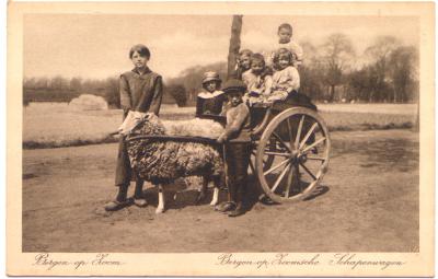Bergen op Zoomsche Schapenwagen