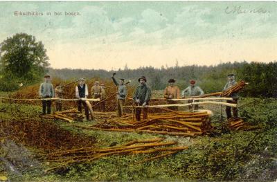 Eikschillers in het bosch