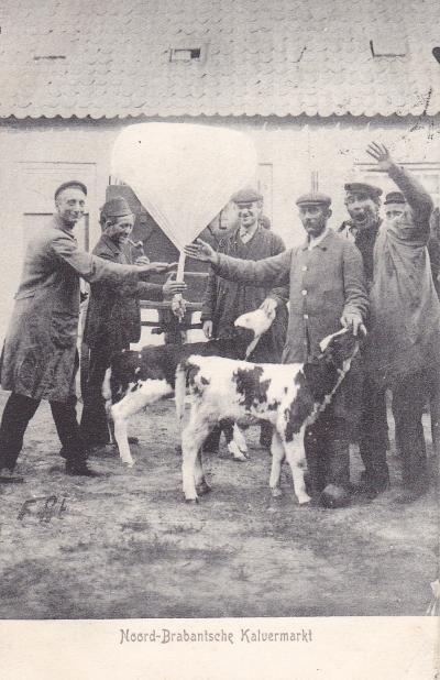 Noord-Brabantsche kalvermarkt