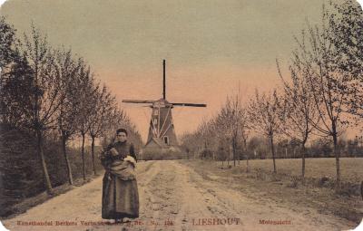 Lieshout Molenzicht