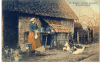 De kippen worden gevoerd
